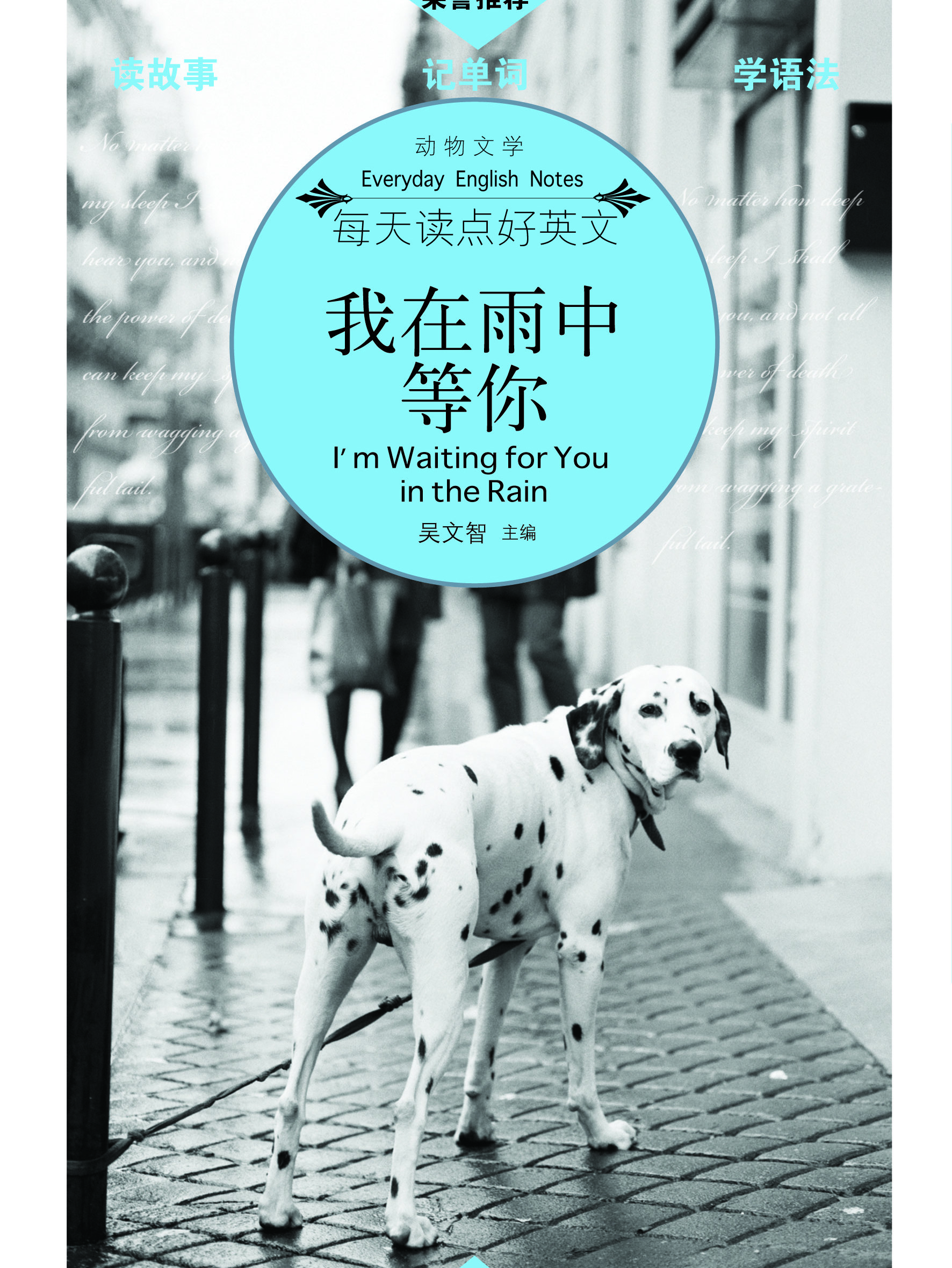 我在雨中等你