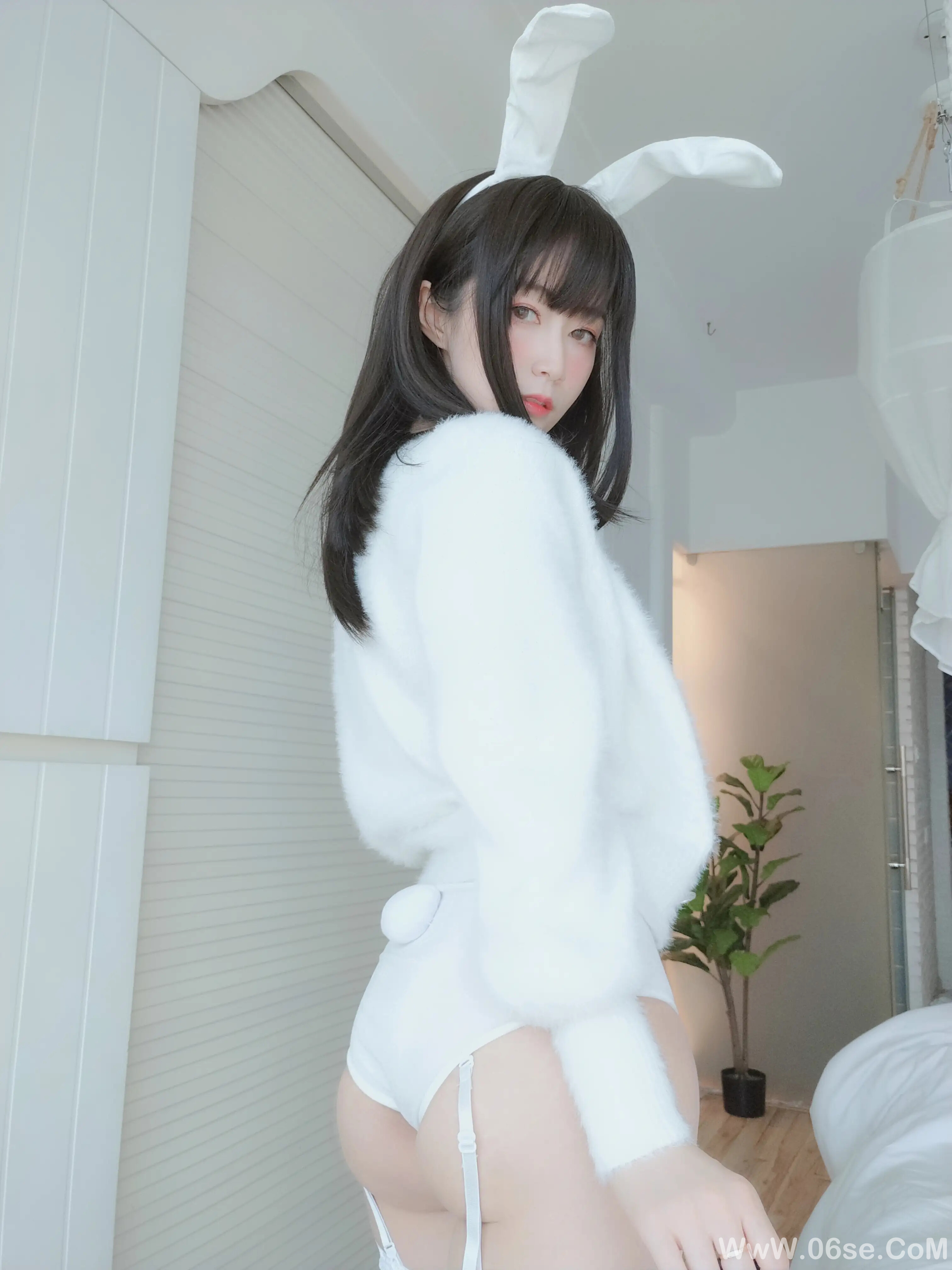 图片[69]-白银81 – 白丝兔子-六色网
