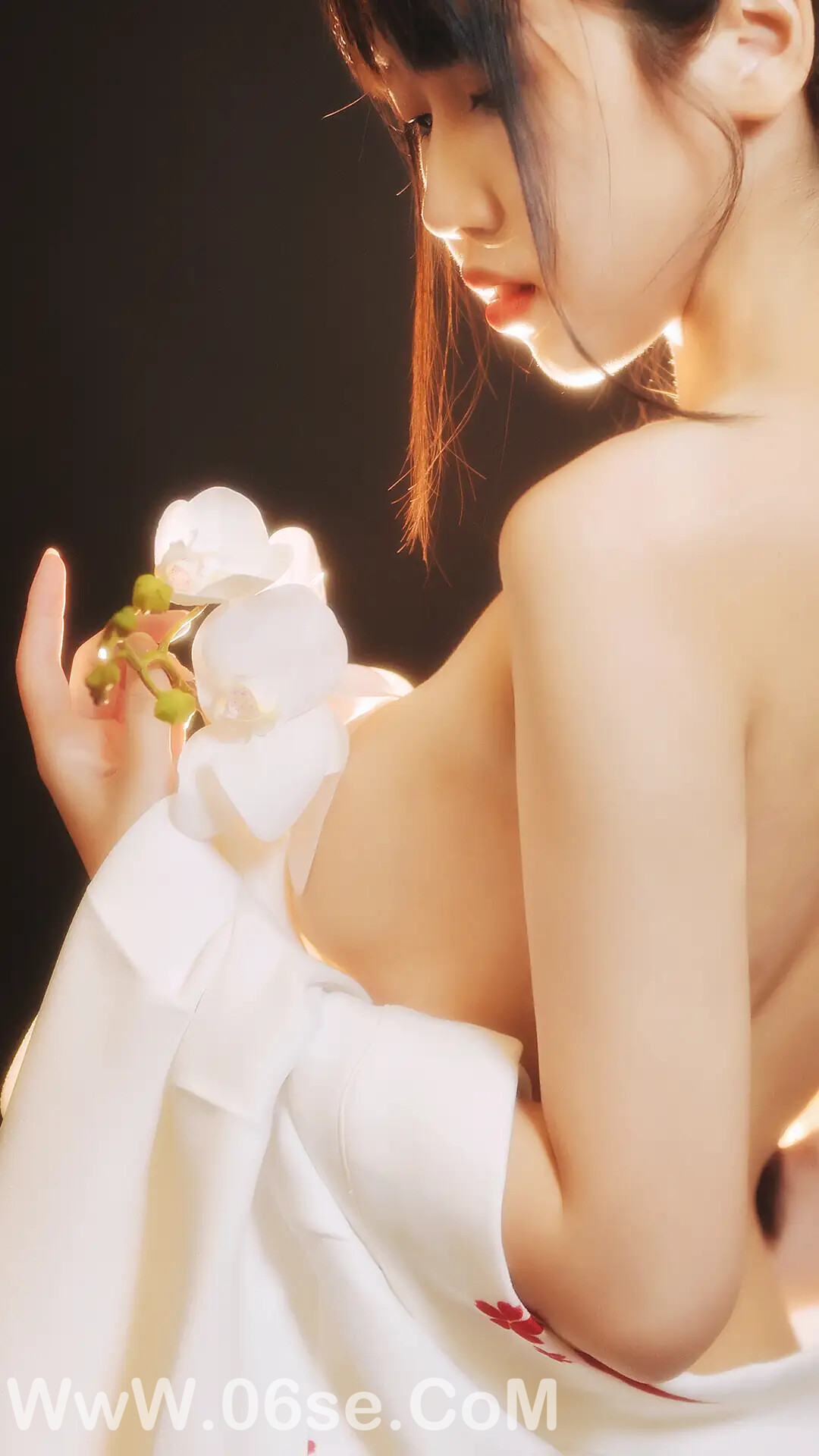 图片[31]-不呆猫 – 和服-六色网