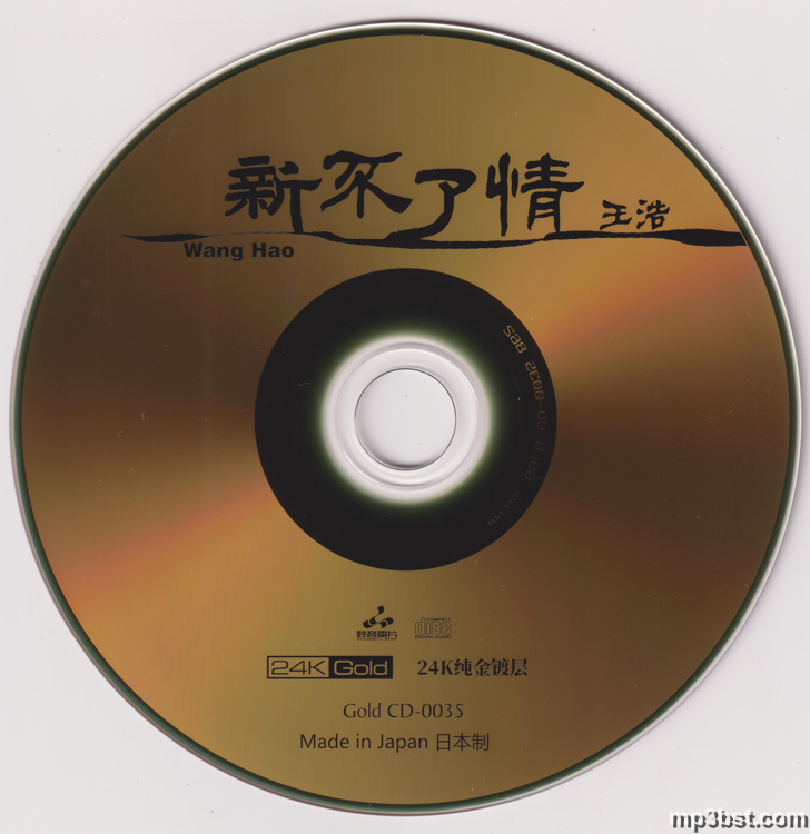 王浩 - 《新不了情》24K金碟限量版2021[低速整轨WAV/320K-mp3]