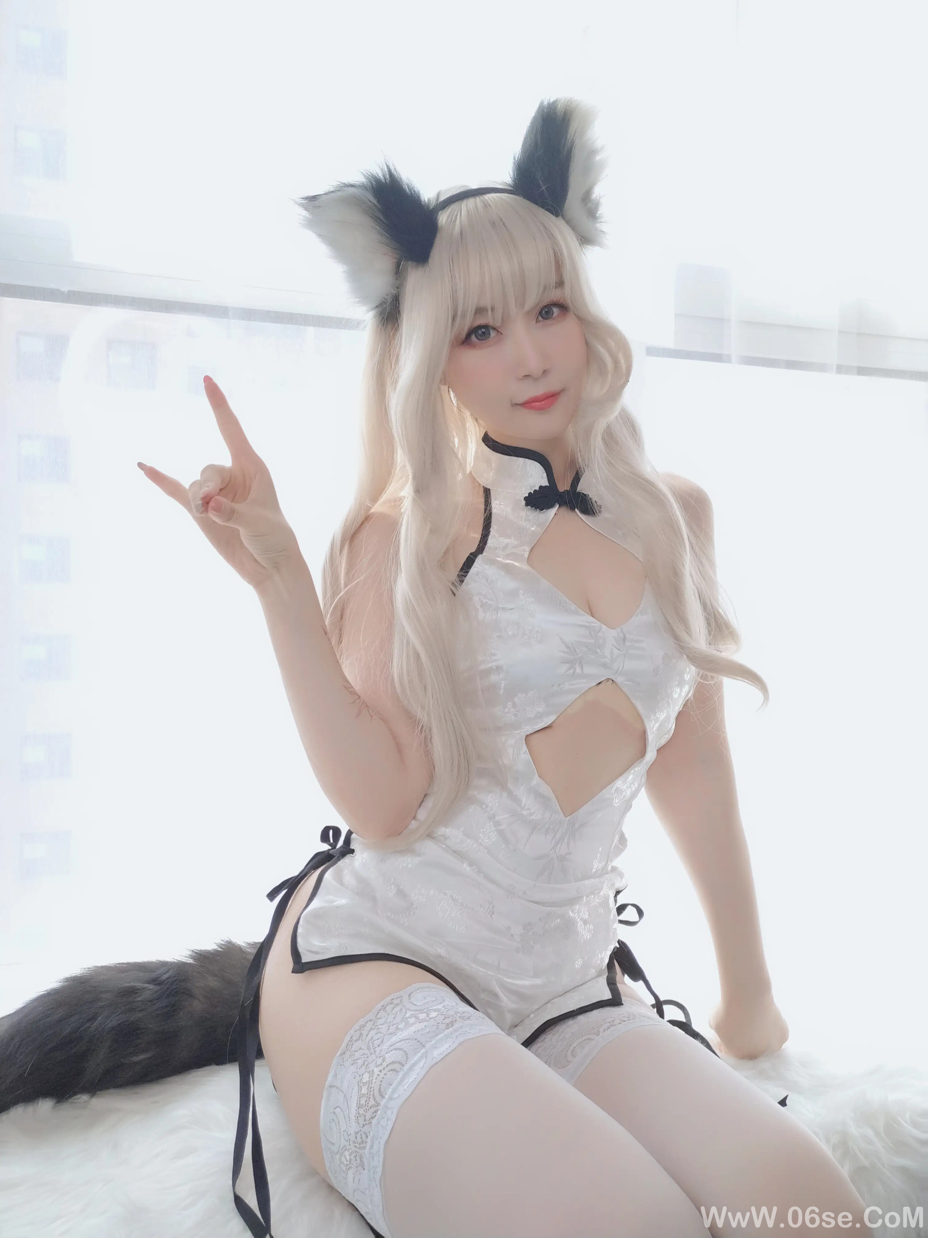白银81 - 小白狼-六色网