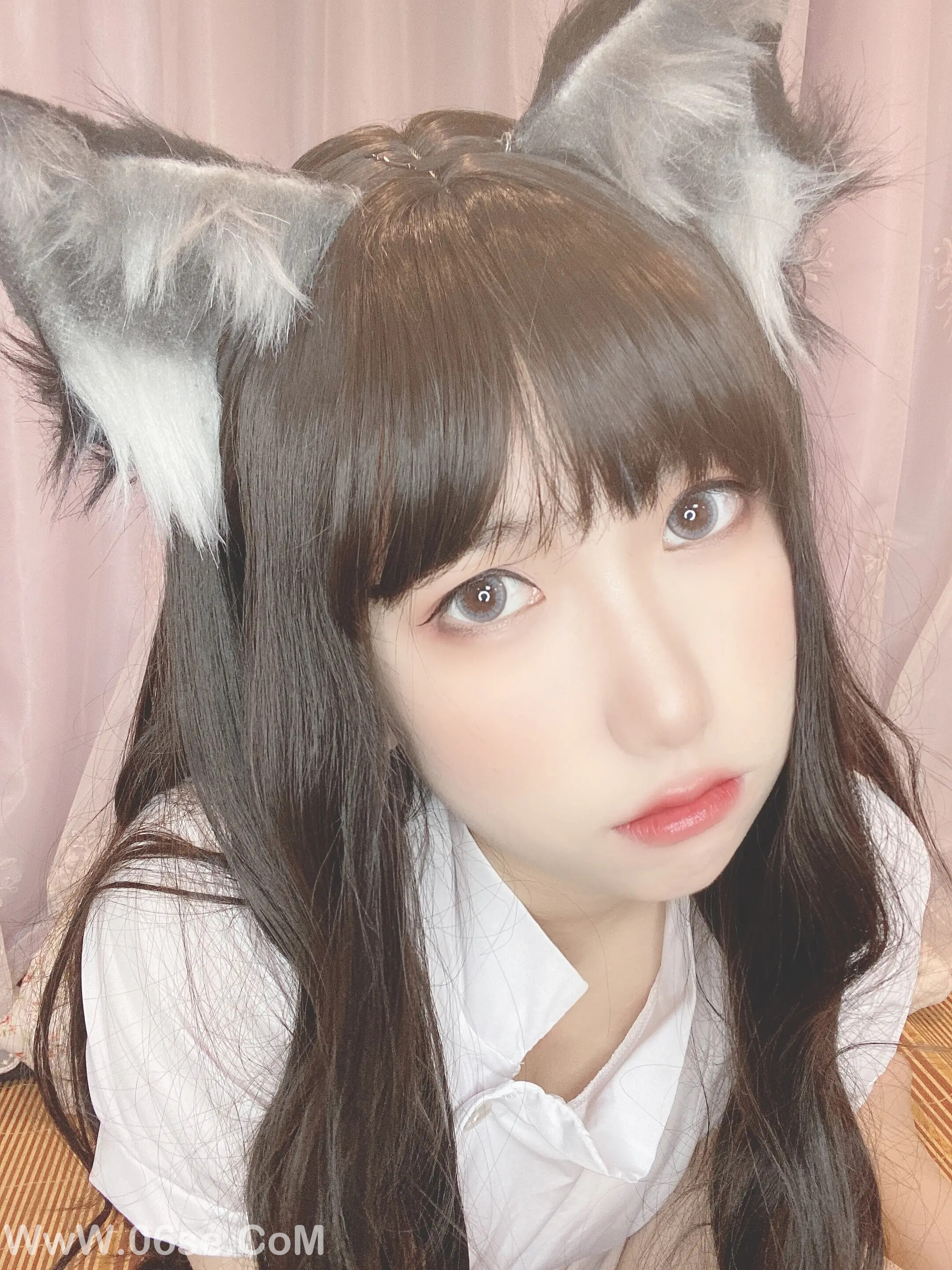 图片[93]-芋圆侑子 – 兽娘风俗店-六色网