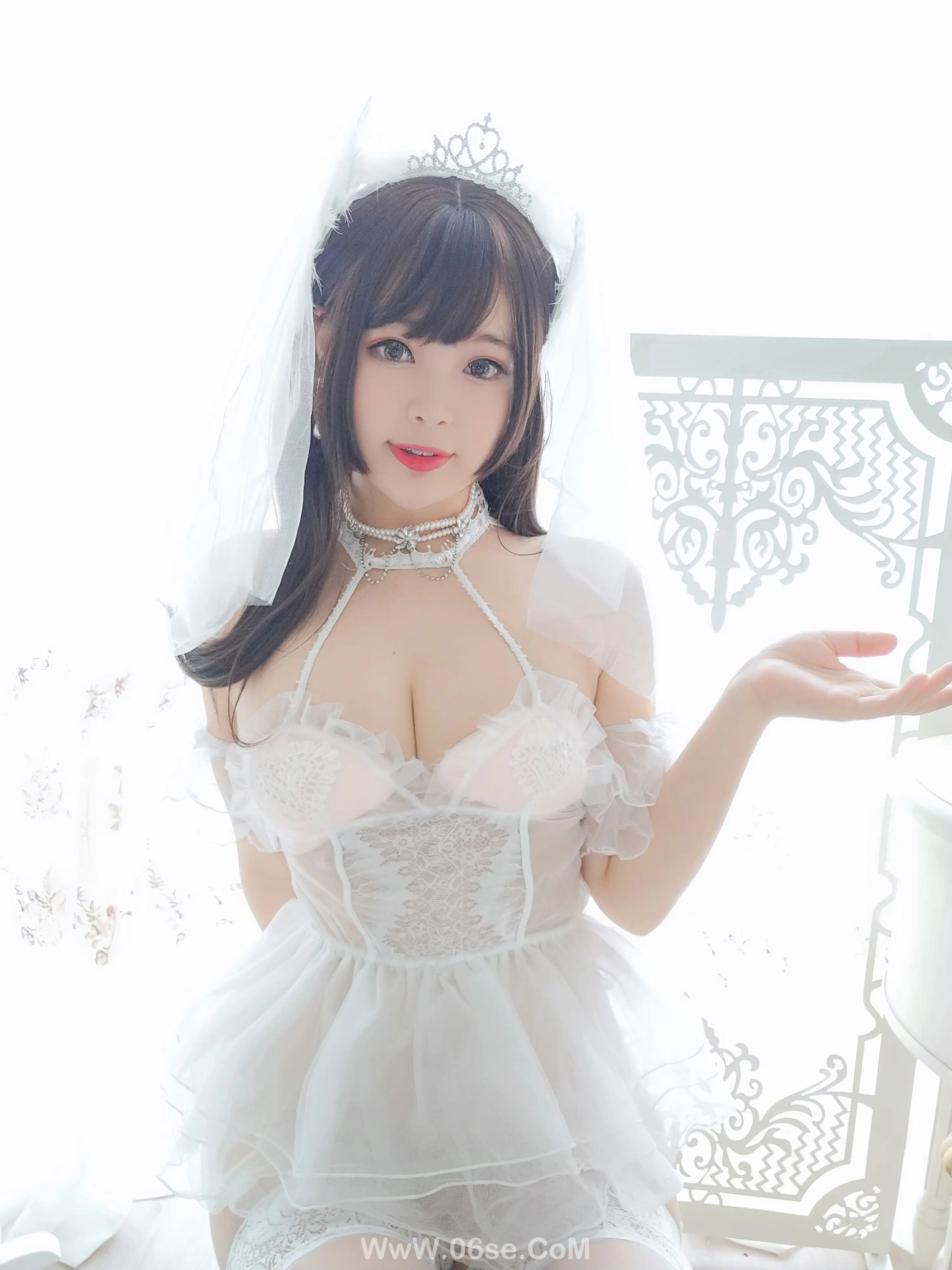 图片[71]-白烨 白天鹅-六色网