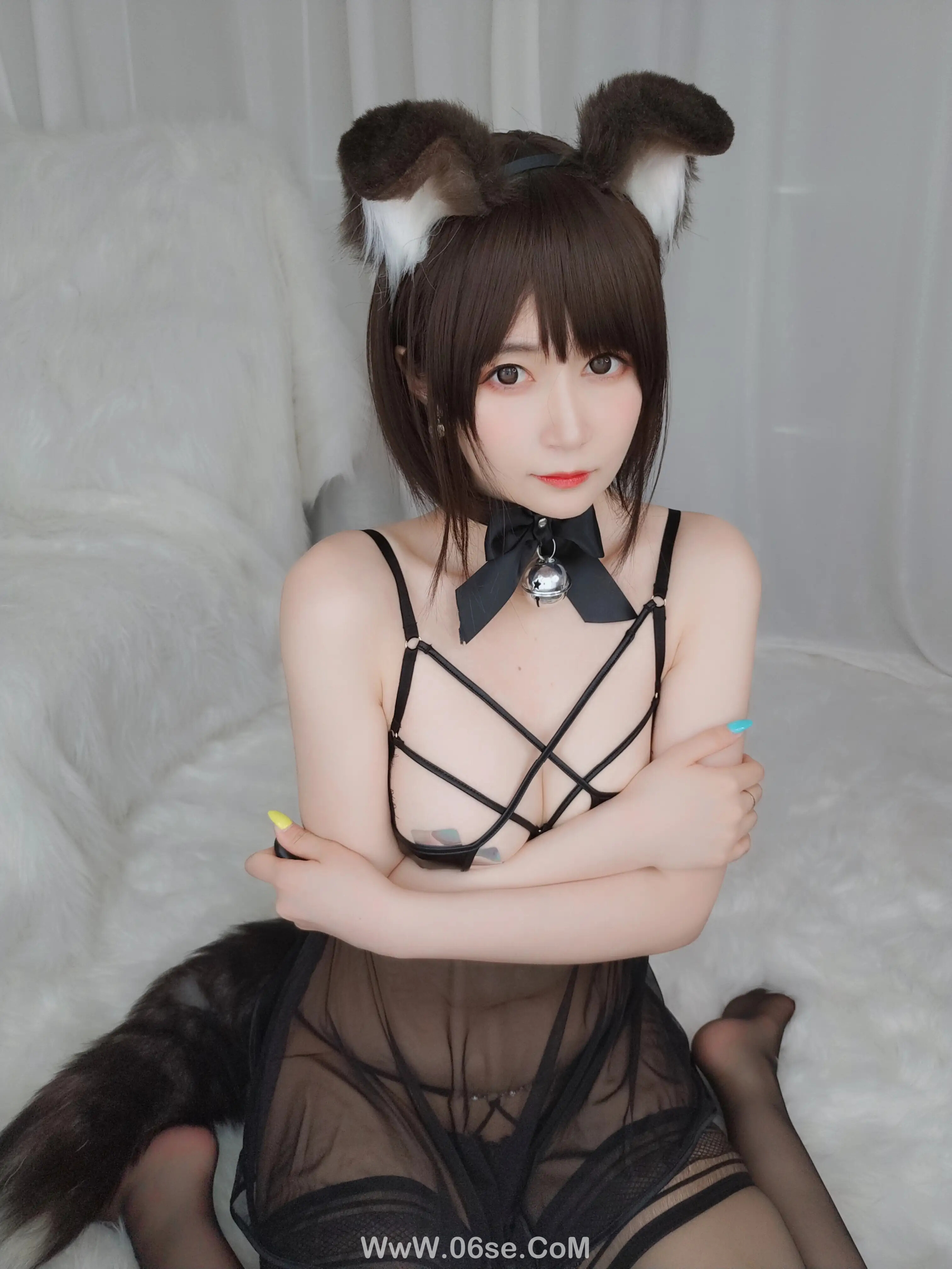 图片[13]-白银81 – 折耳狗-六色网