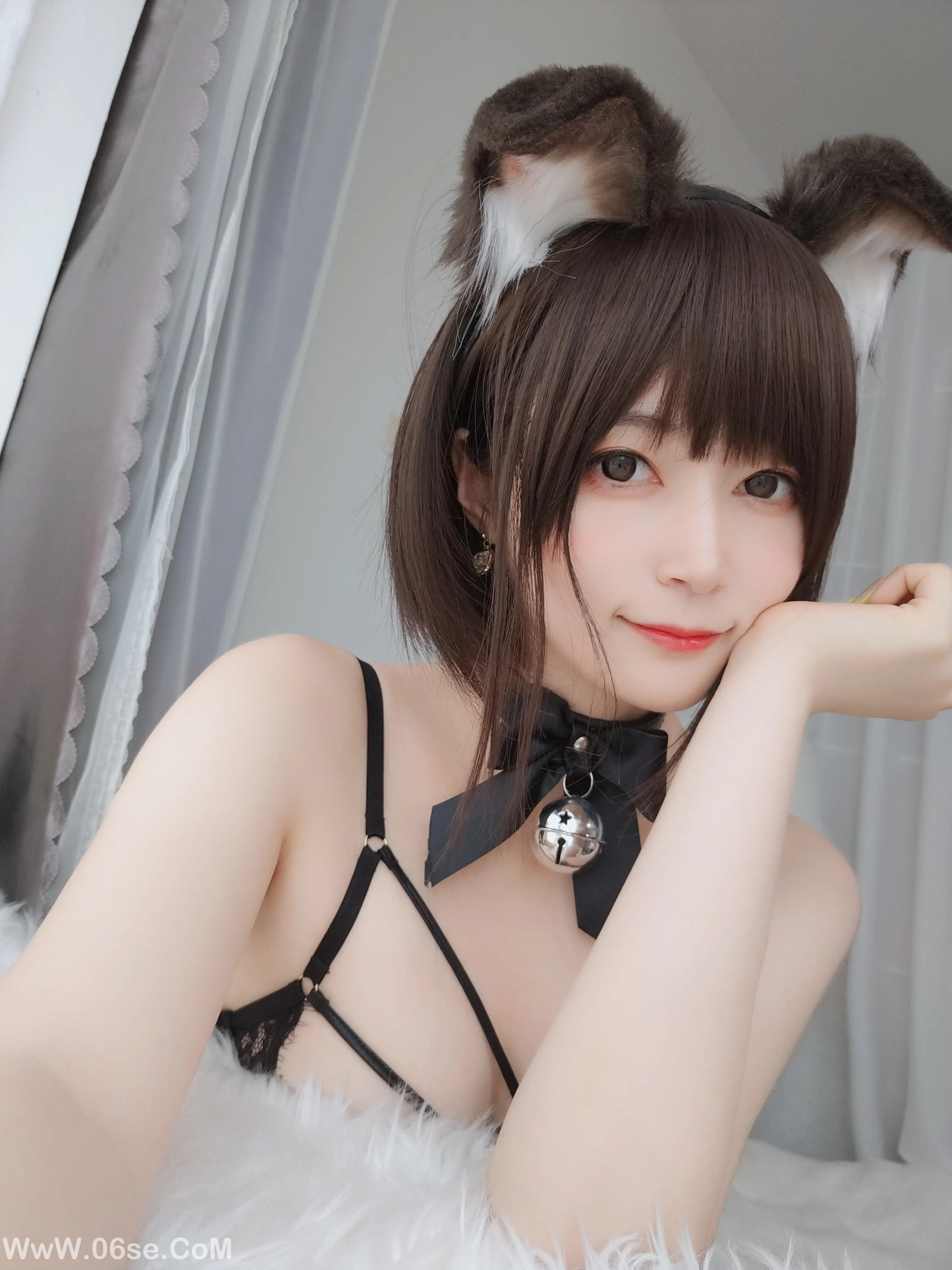 图片[81]-白银81 – 折耳狗-六色网