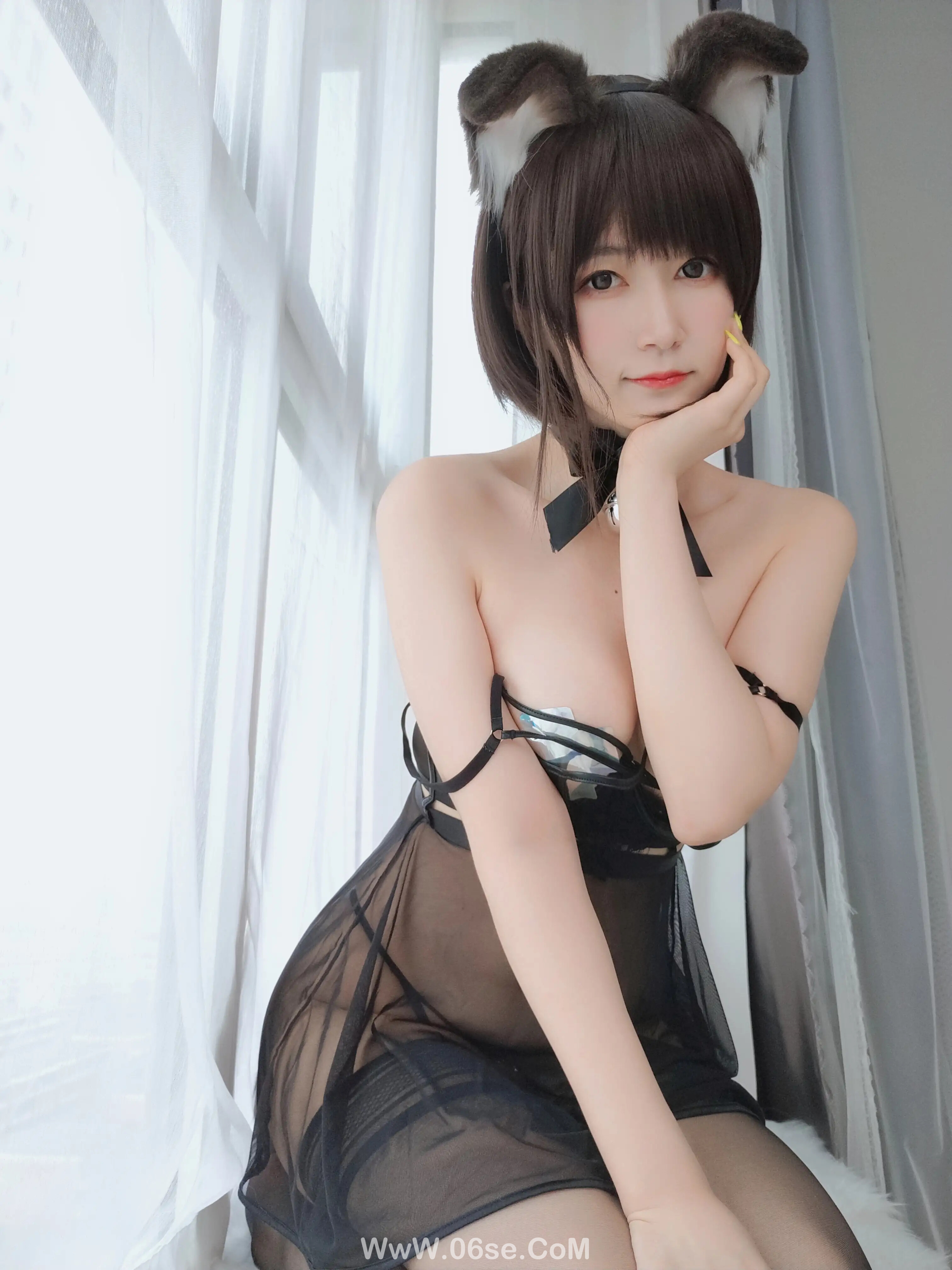 图片[46]-白银81 – 折耳狗-六色网
