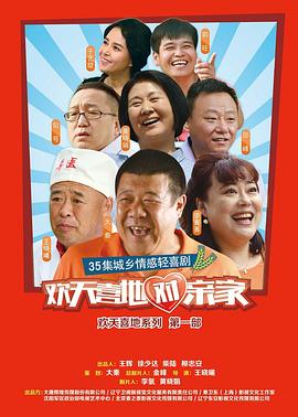 欢天喜地对亲家 DVD版