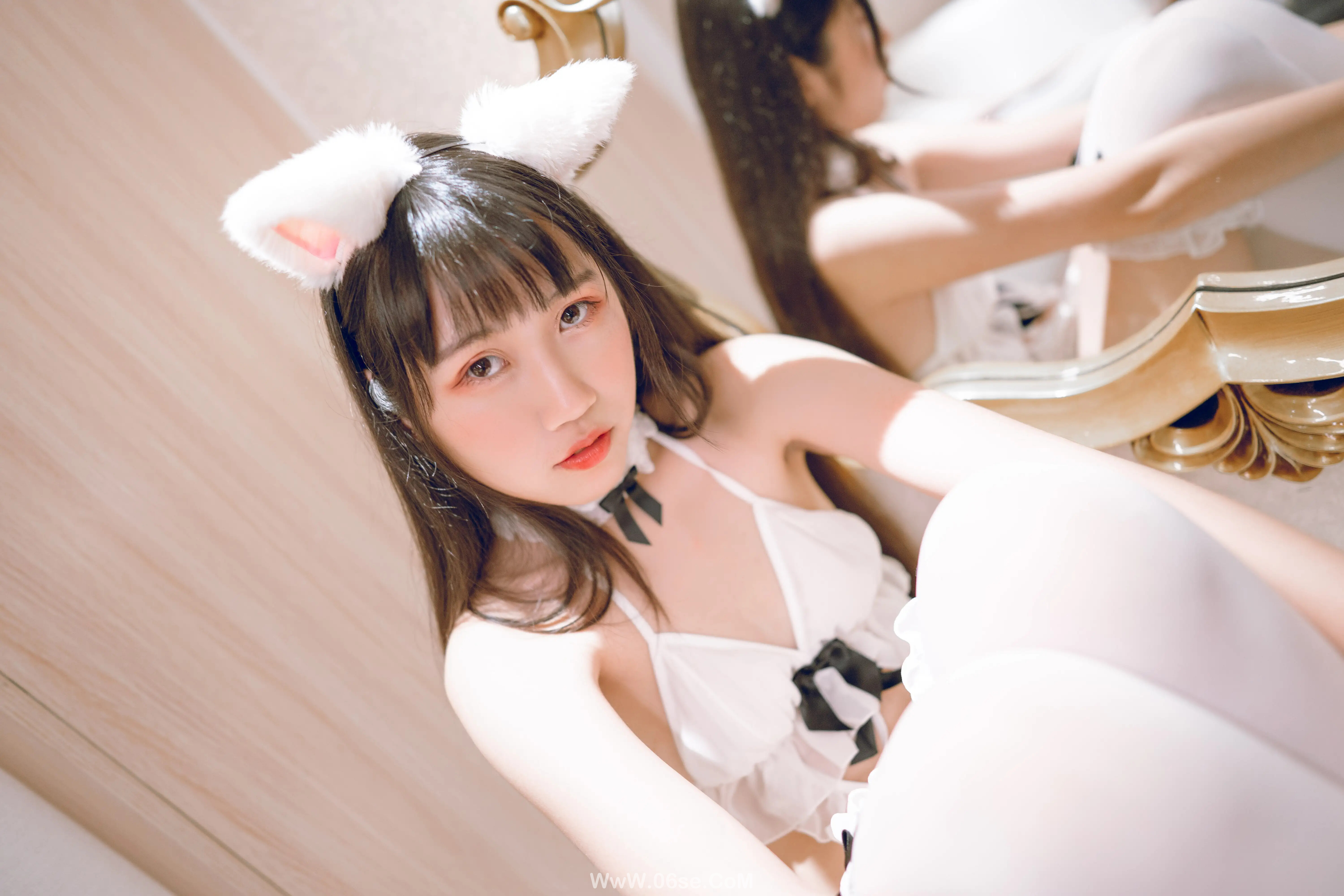 图片[2]-不呆猫 – 狐狸-六色网
