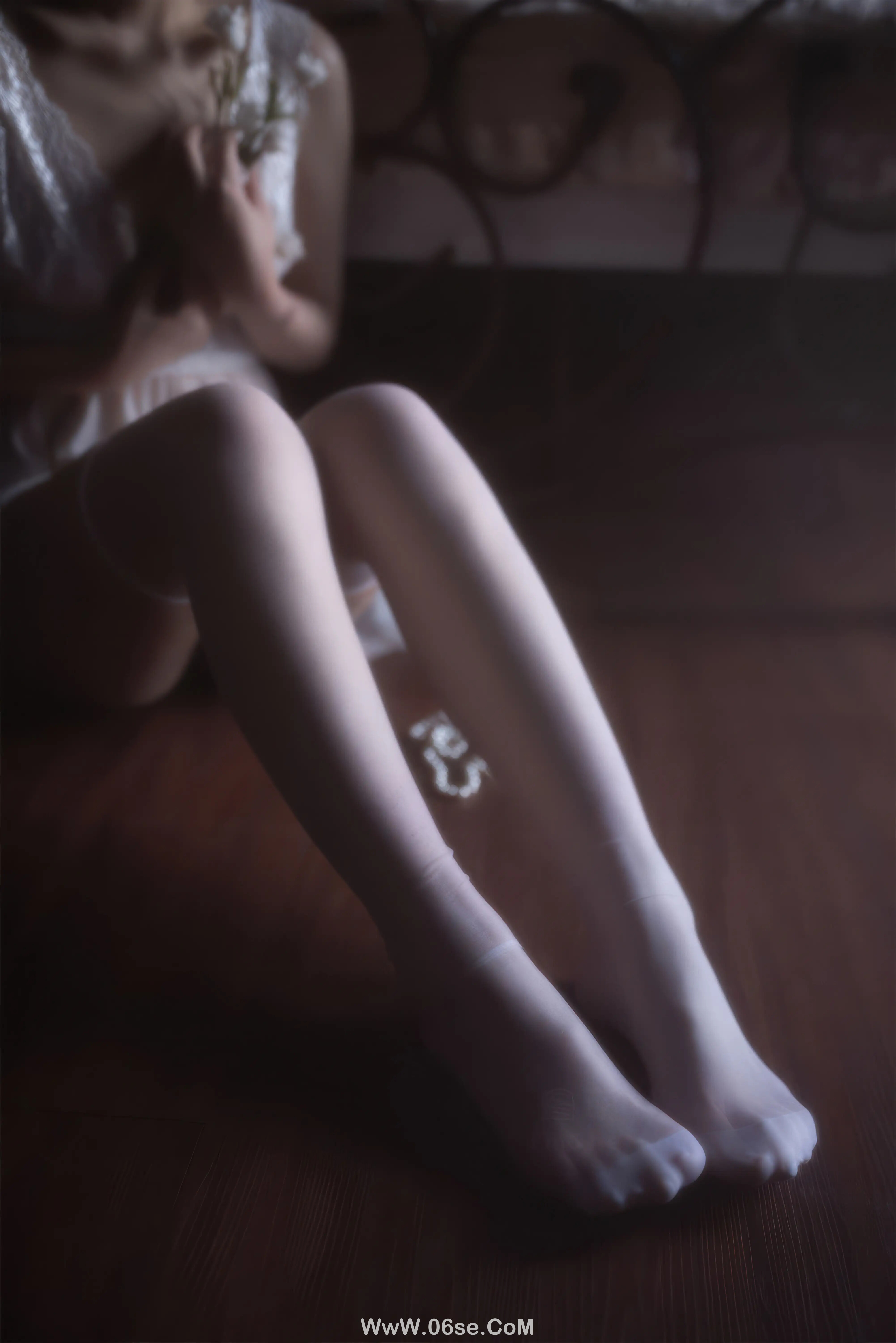 图片[22]-不呆猫 – 白月光-六色网