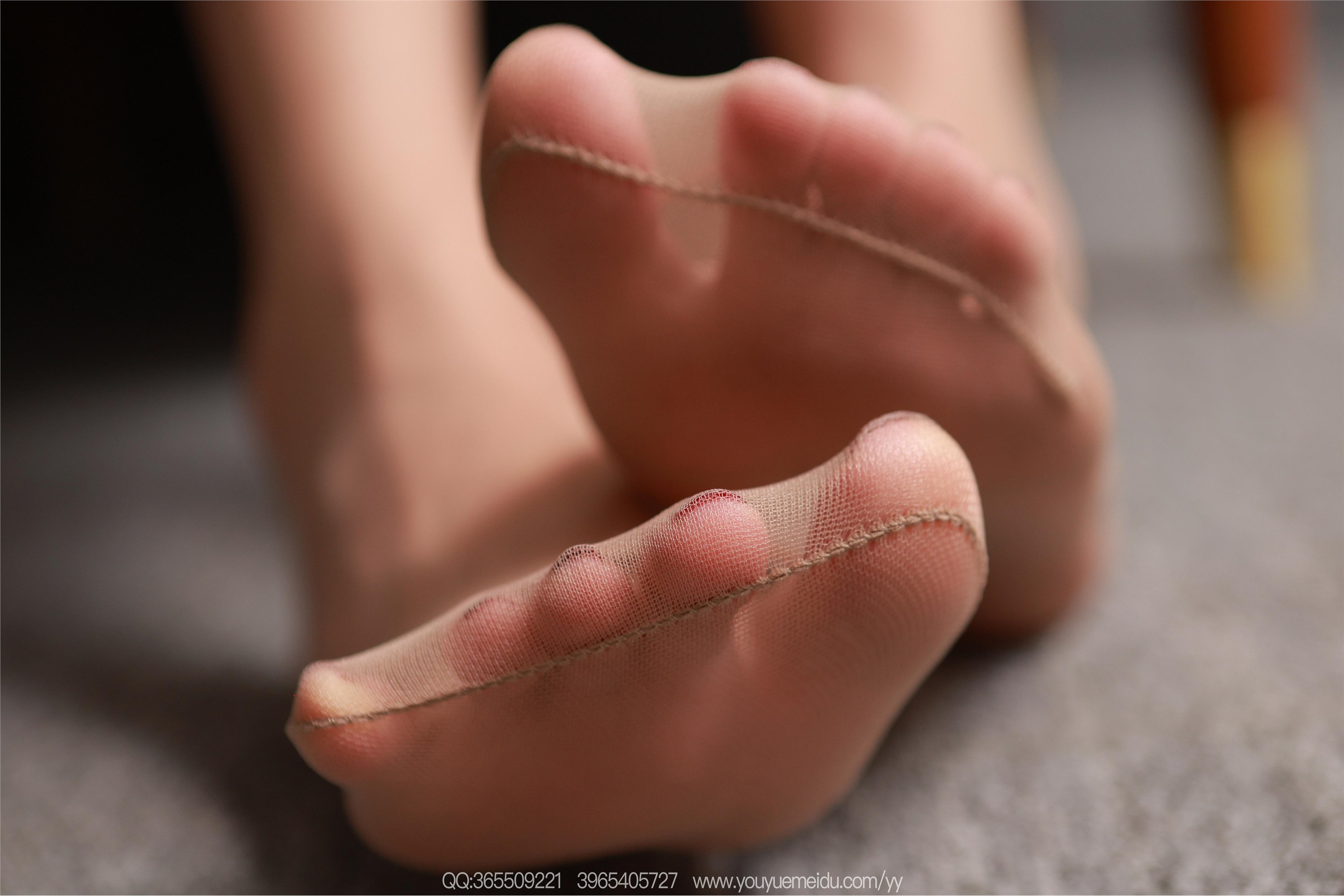 图片[79]-IESS异思趣向 2025.11.18 丝享家2214：团团《美腿肉丝》-六色网