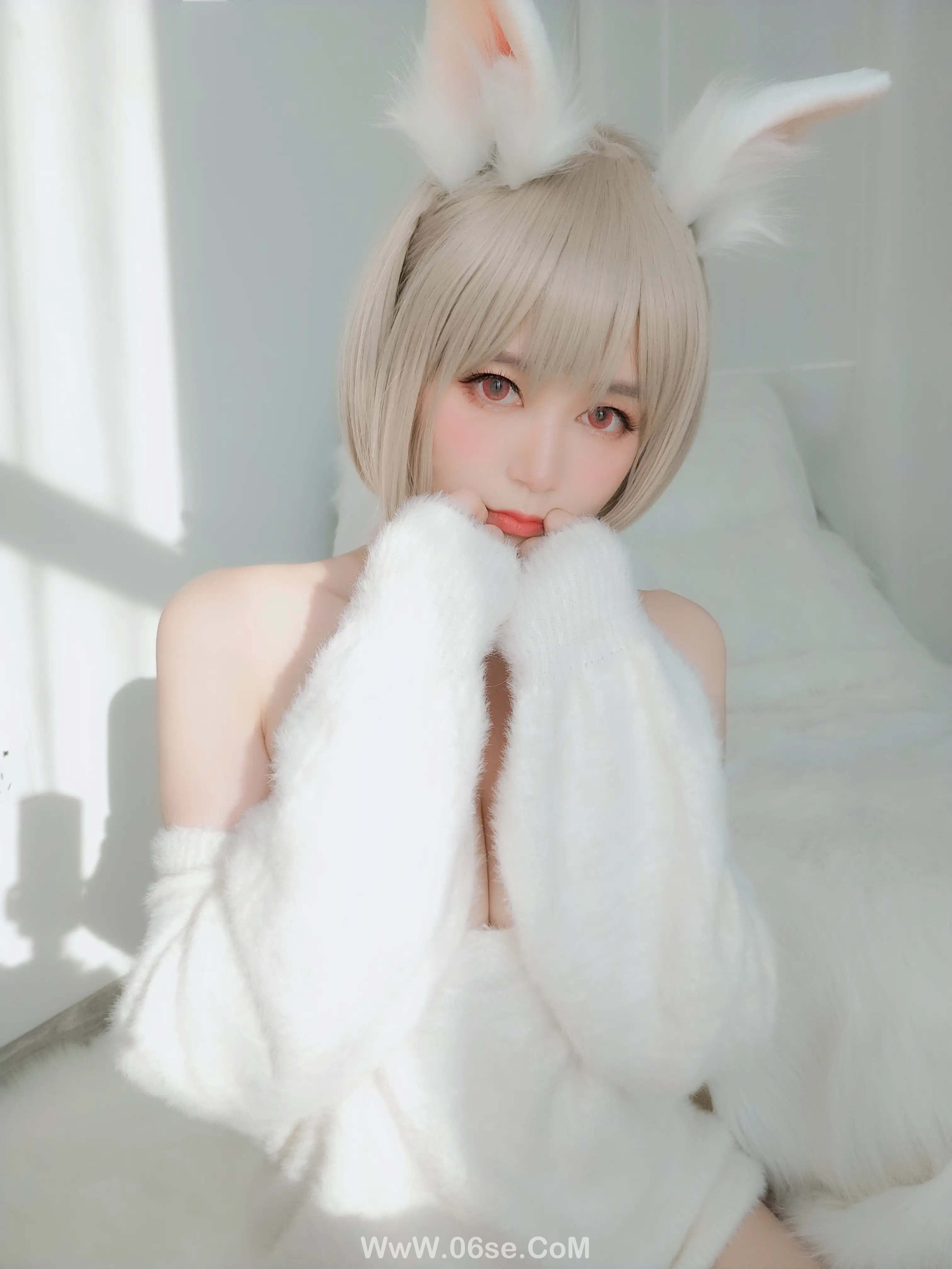 图片[96]-白银81 – 小白兔-六色网