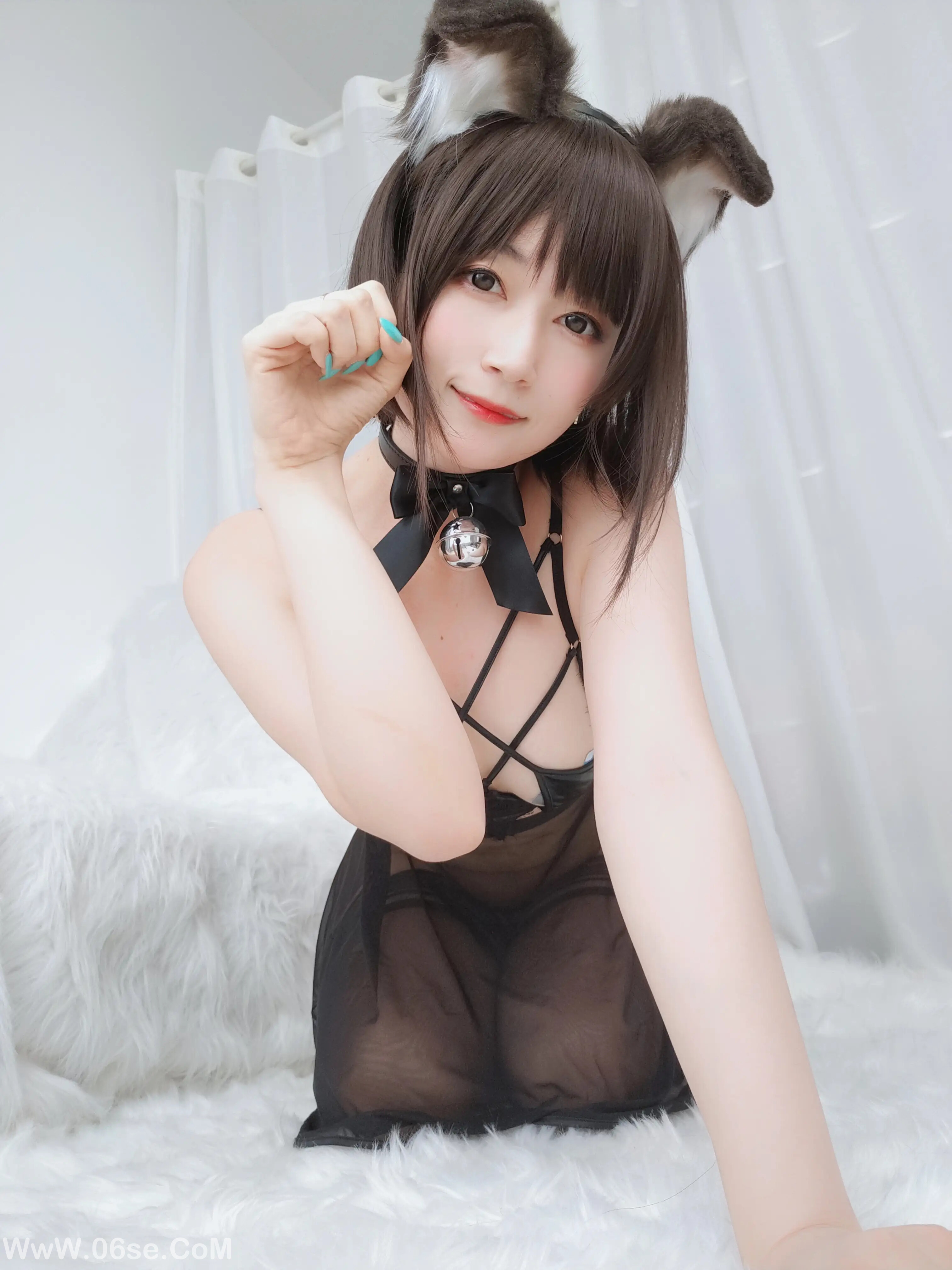 图片[30]-白银81 – 折耳狗-六色网