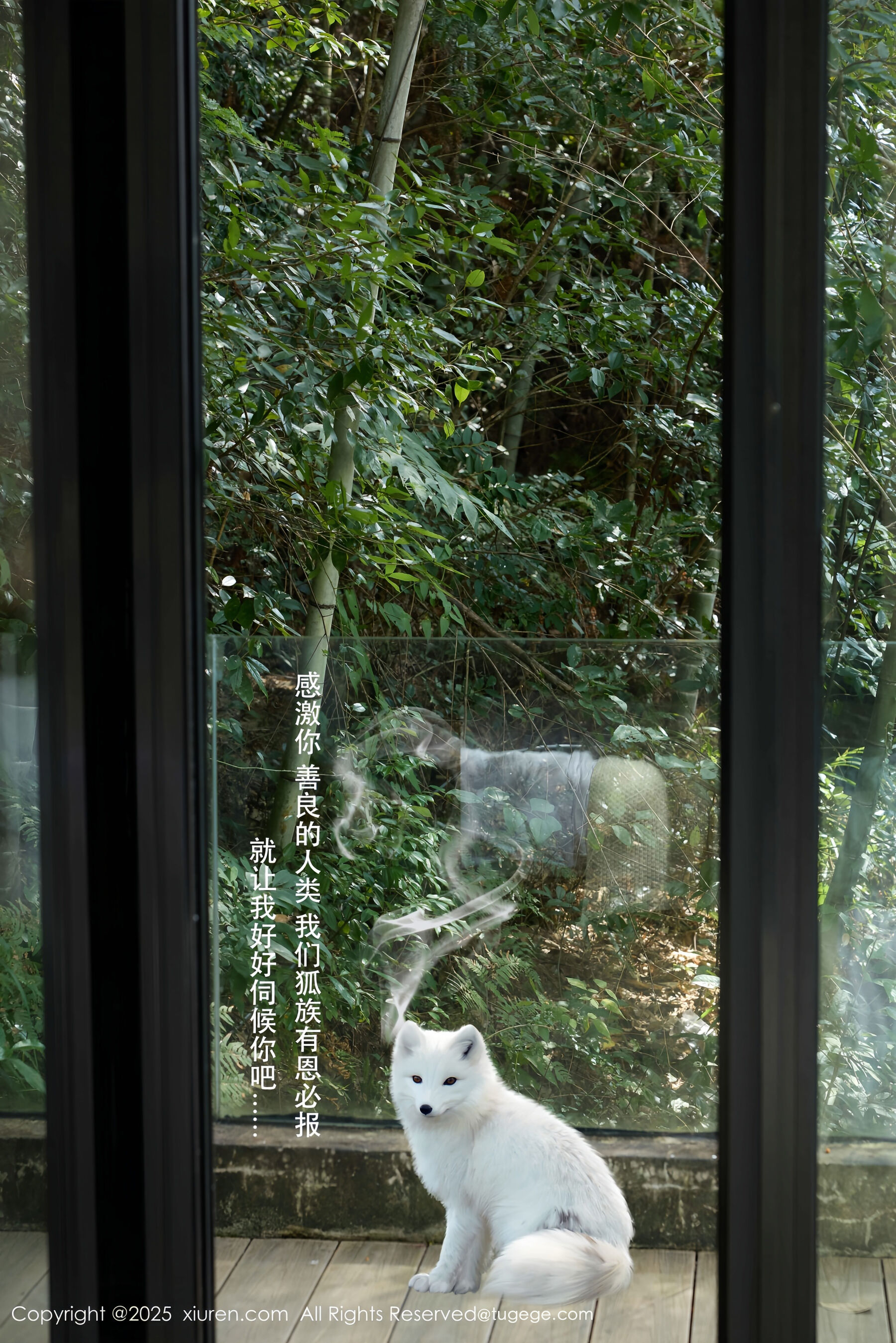 图片[14]-秀人网 – NO.11068 – 尹甜甜 [56P]-六色网