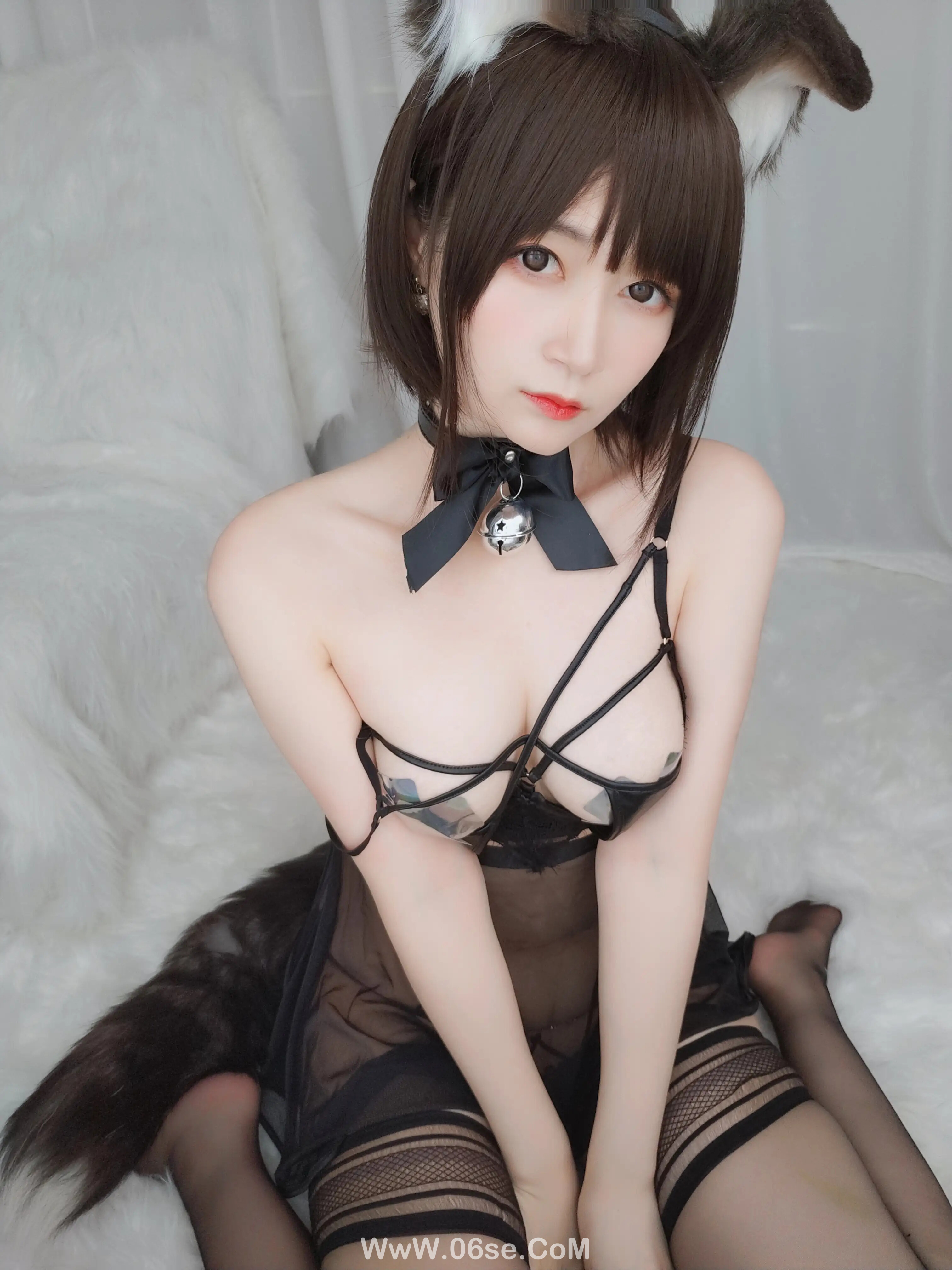 图片[17]-白银81 – 折耳狗-六色网