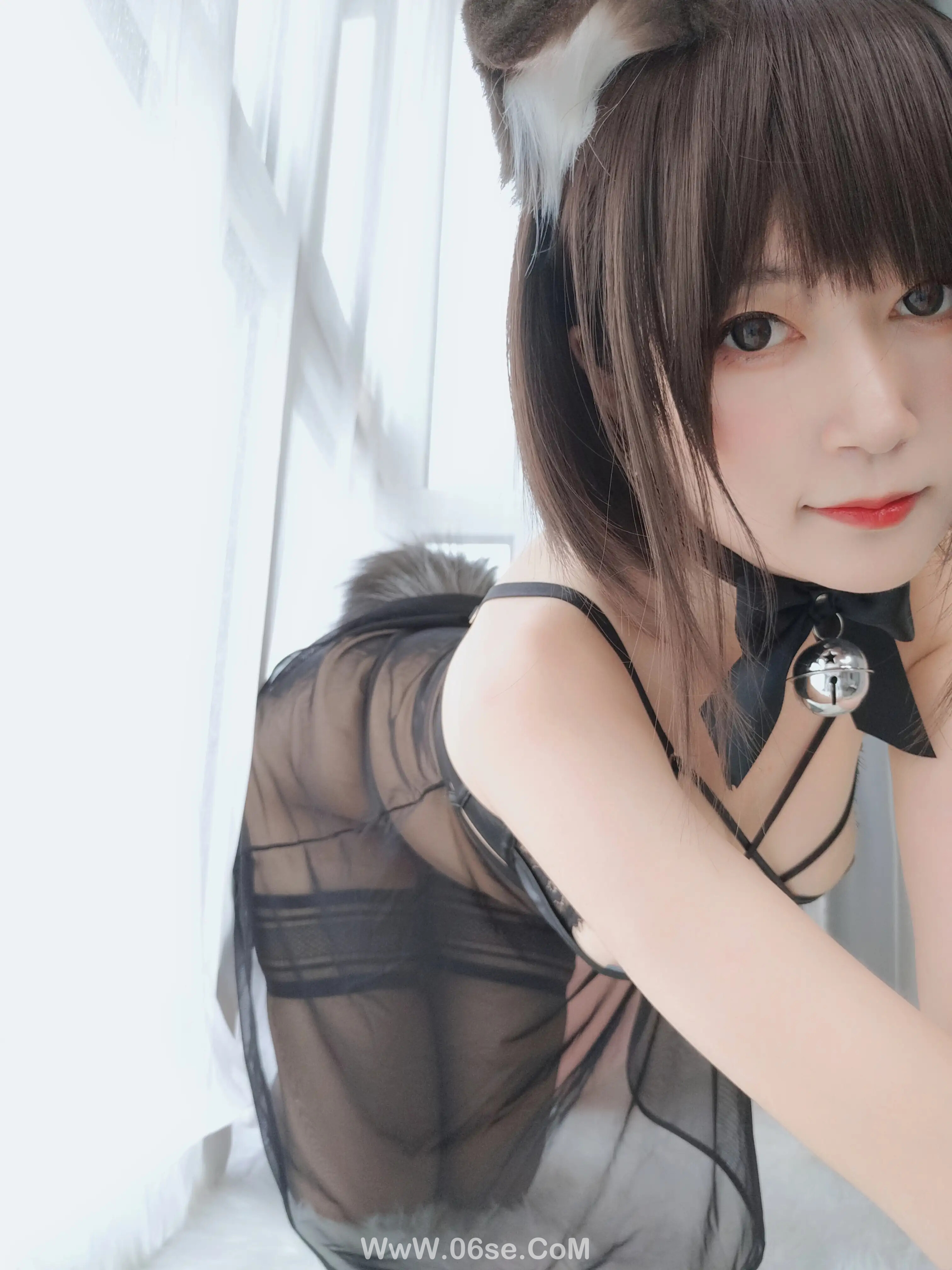 图片[52]-白银81 – 折耳狗-六色网