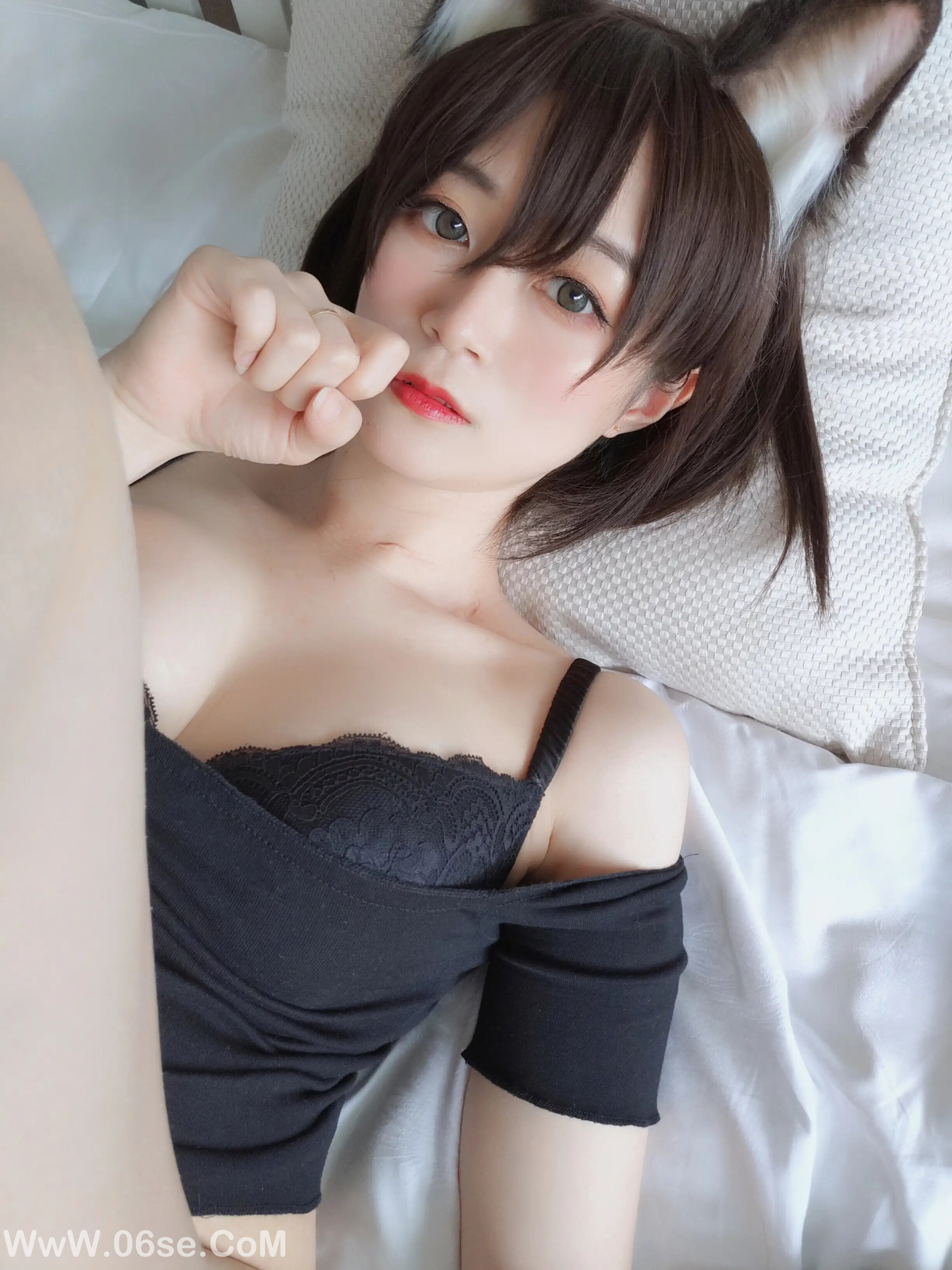 图片[8]-白银81 – 布偶猫-六色网