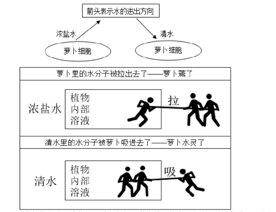 2016年——2019年中学教育知识与能力试题打印版 - 图文 - 百度文库