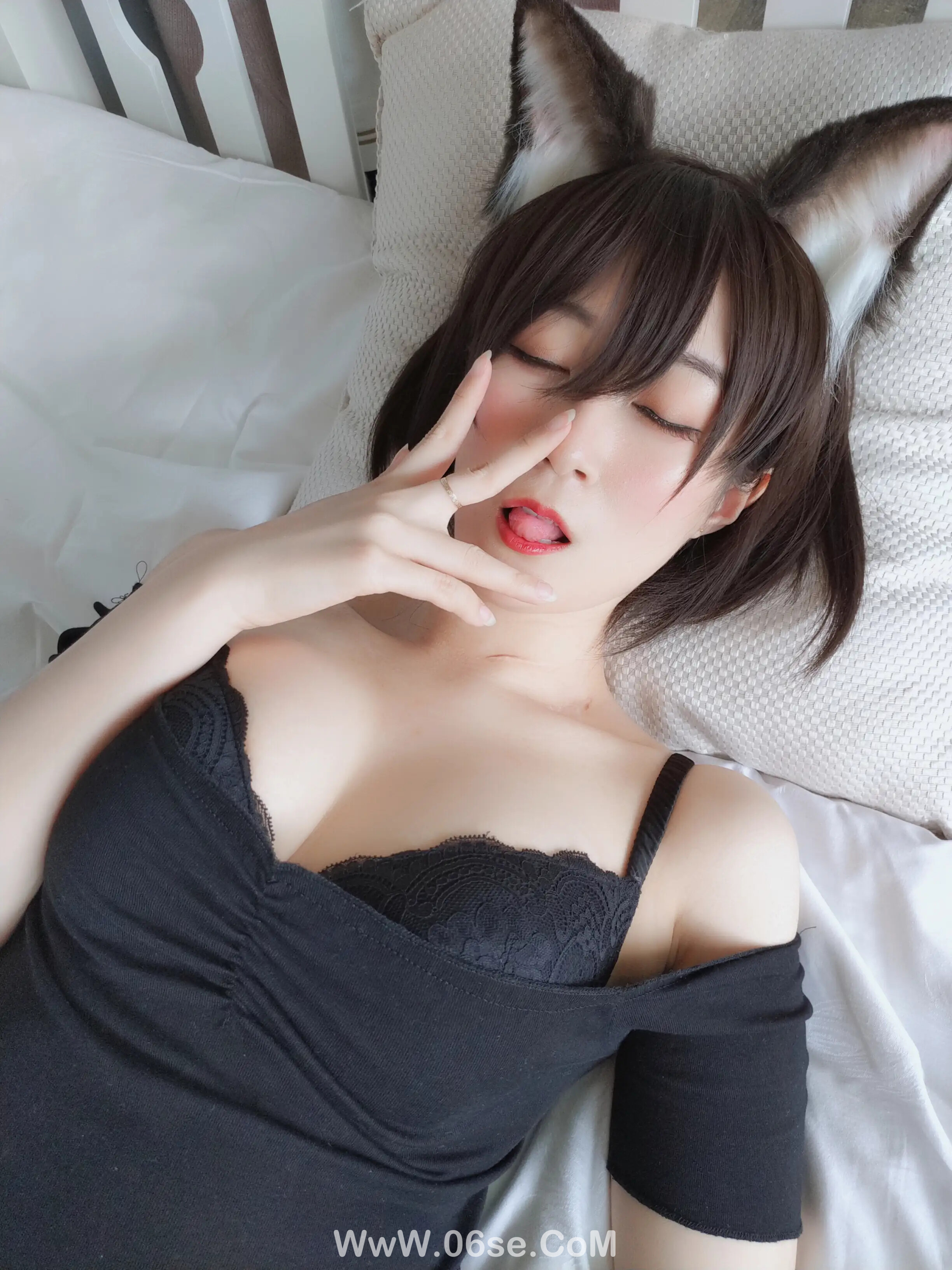 图片[16]-白银81 – 布偶猫-六色网
