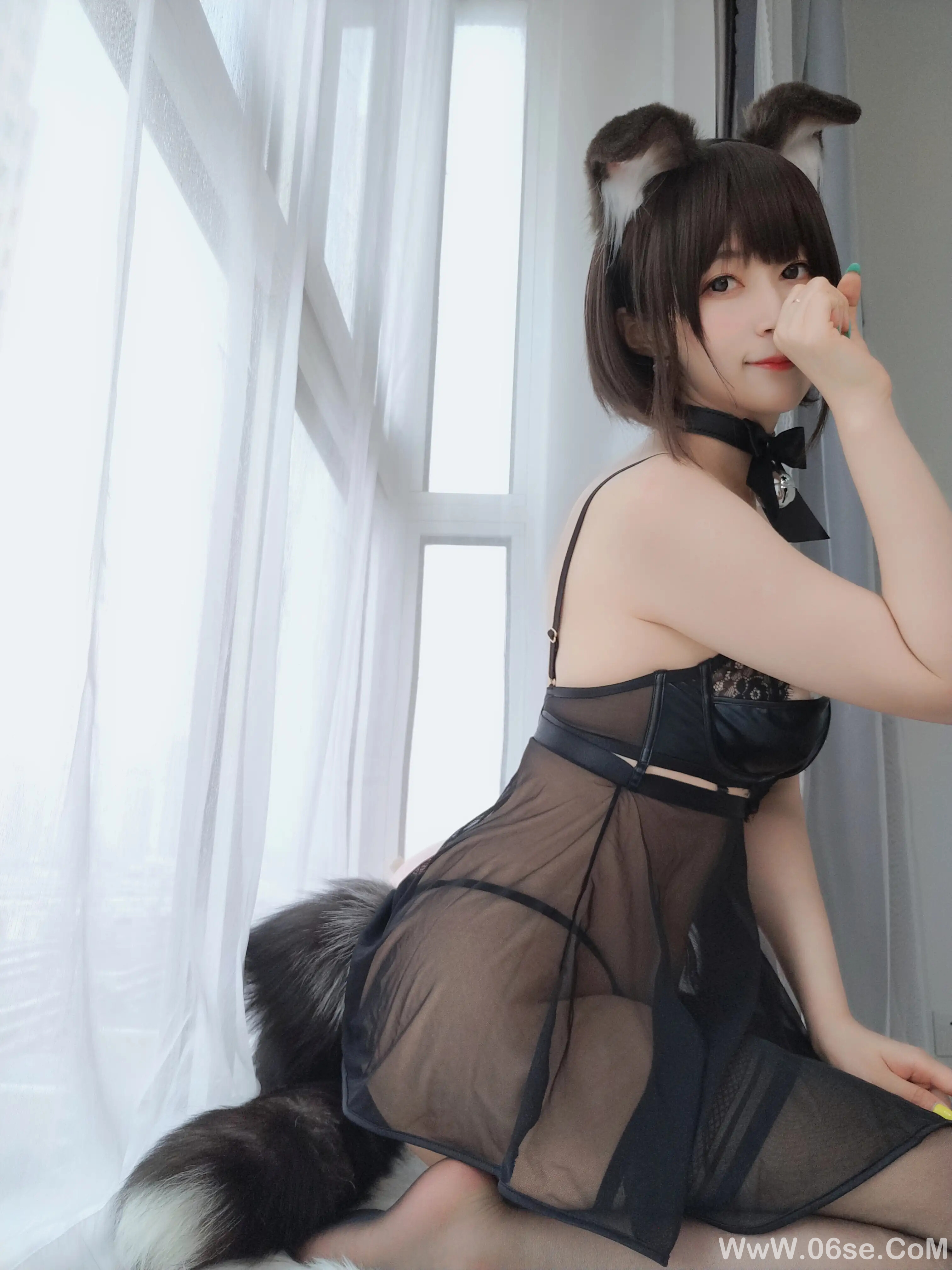 图片[54]-白银81 – 折耳狗-六色网