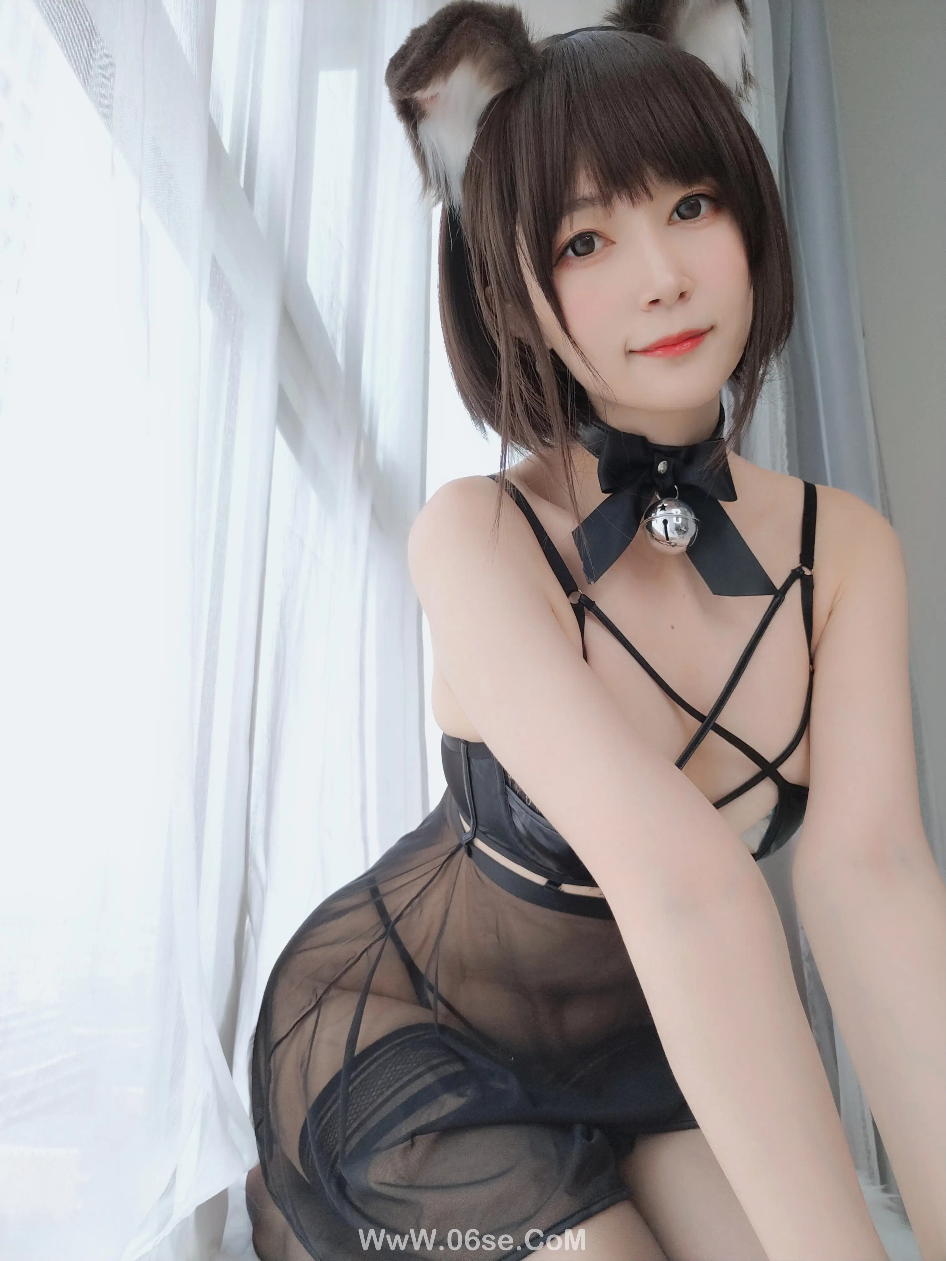 图片[40]-白银81 – 折耳狗-六色网