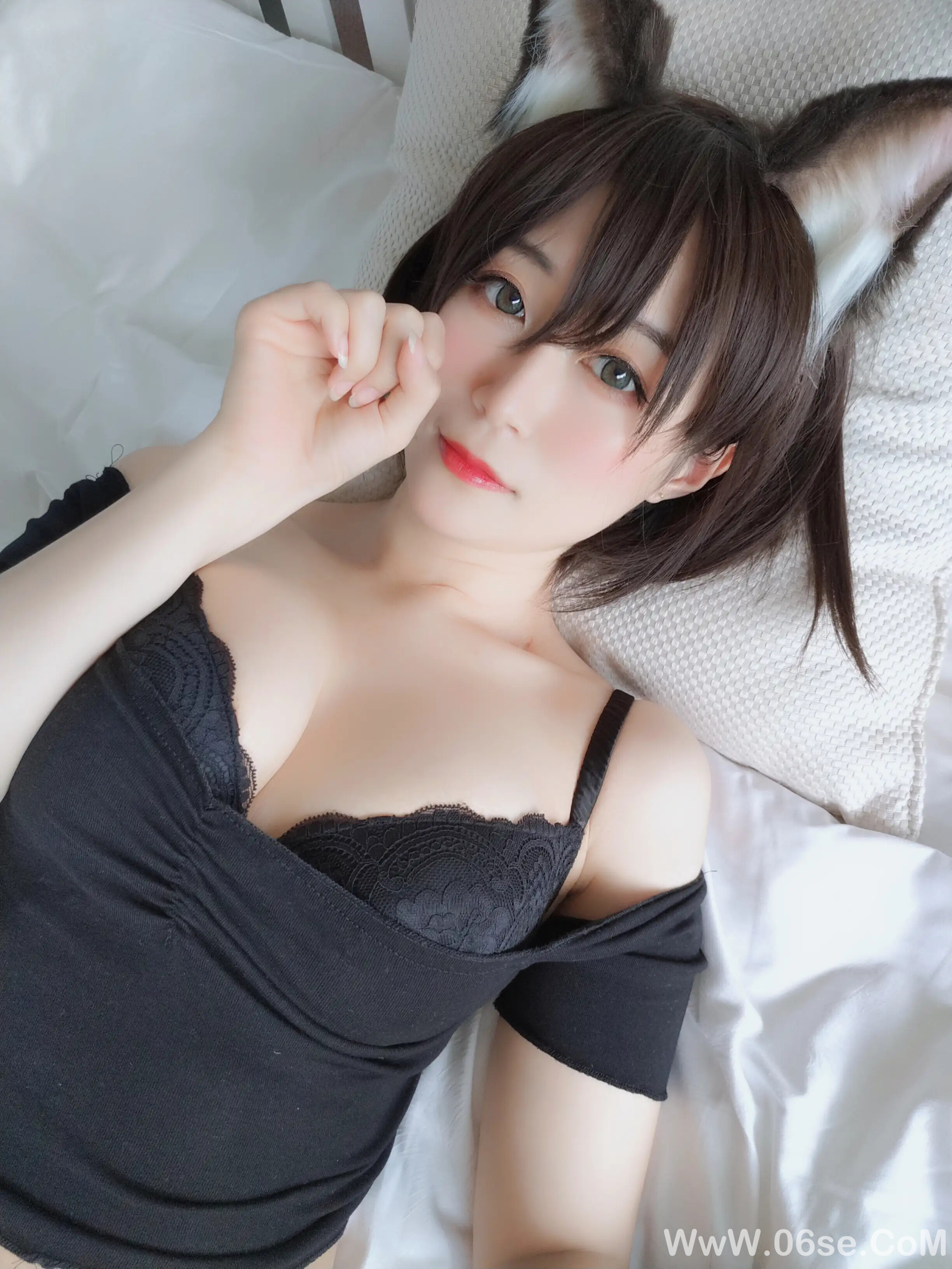 图片[27]-白银81 – 布偶猫-六色网
