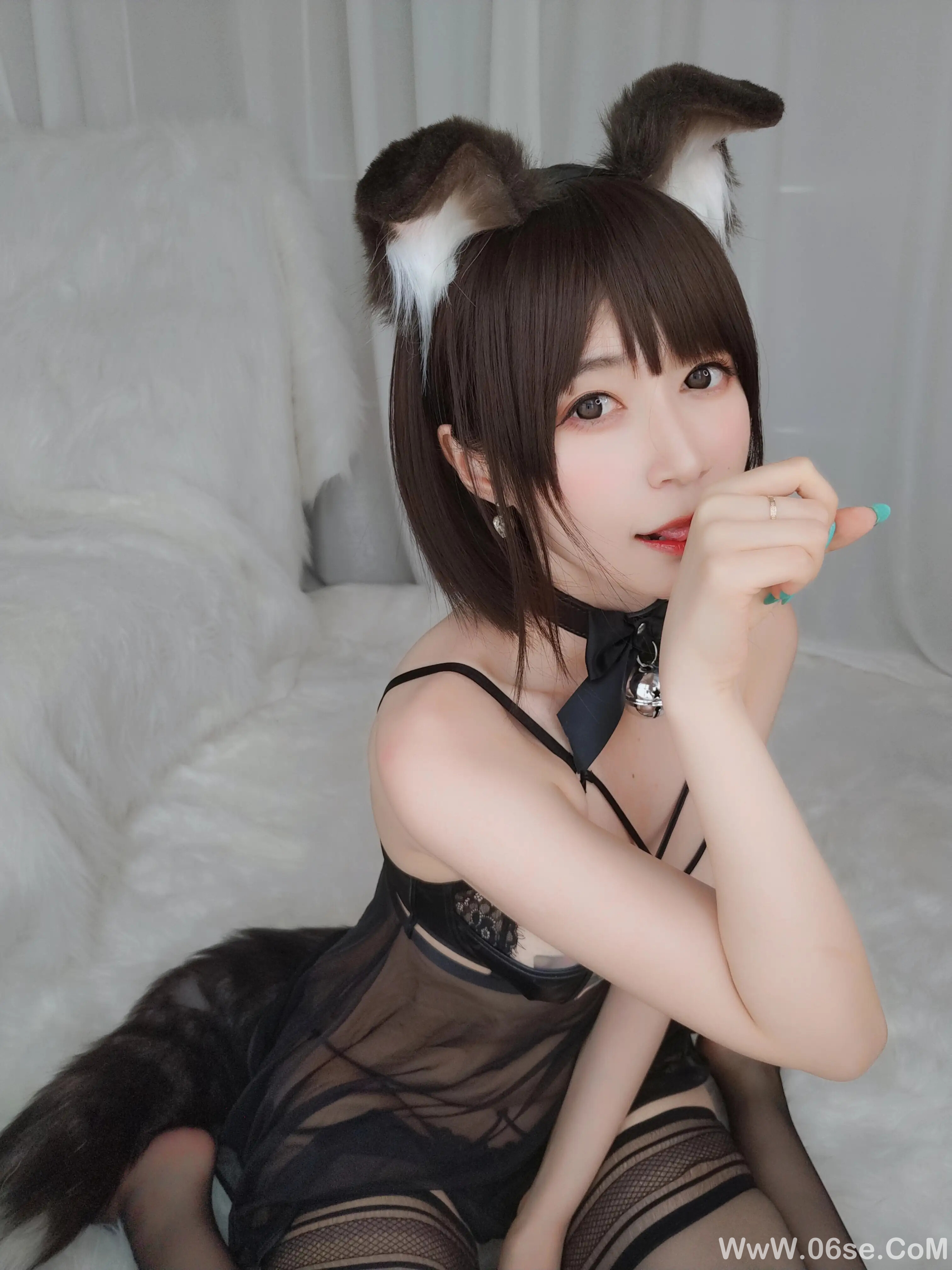 图片[14]-白银81 – 折耳狗-六色网
