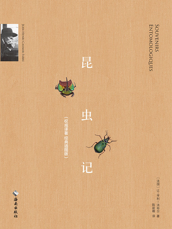 昆虫记(慢读系列,经典译著,精美插图版) 电子书