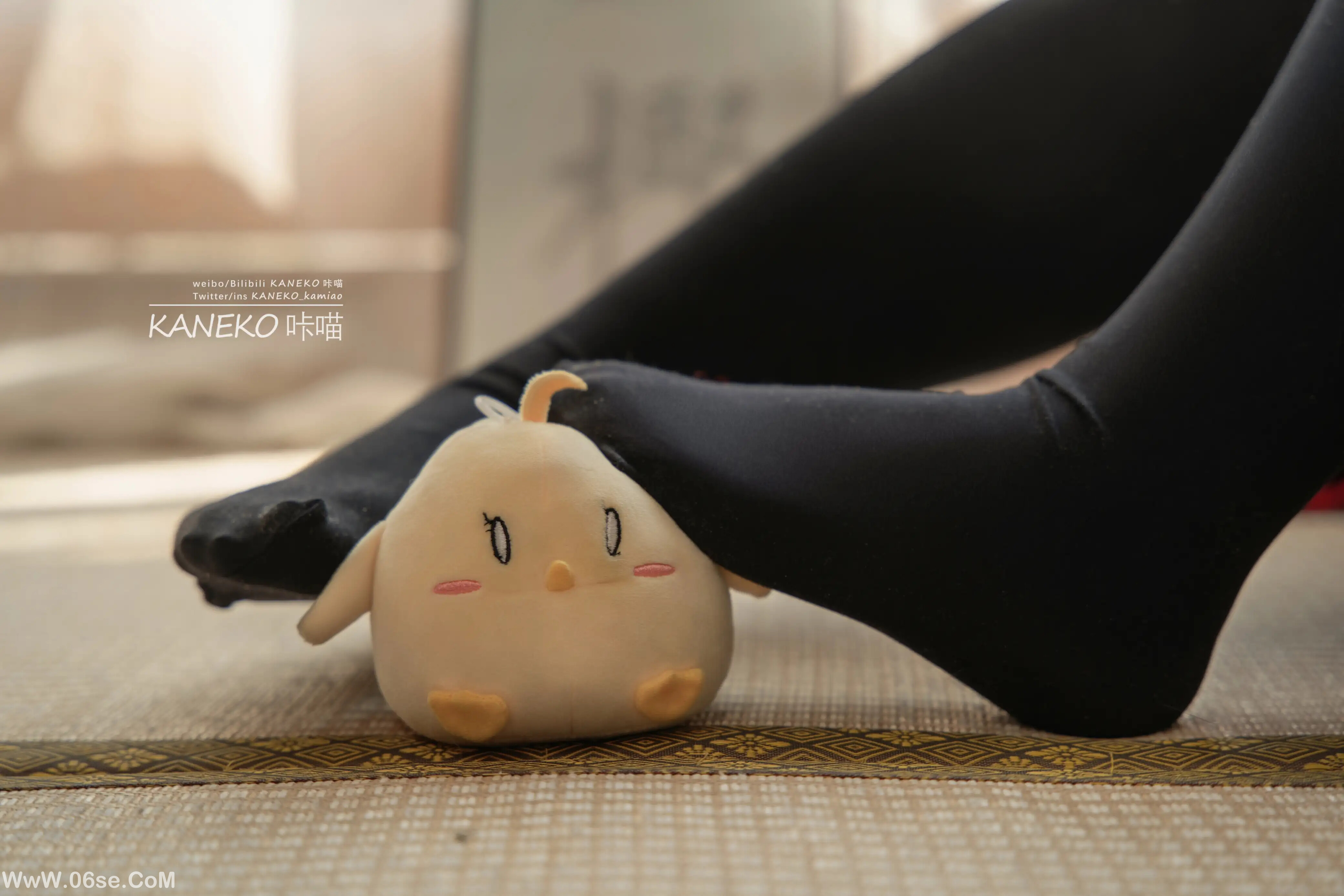 图片[14]-KANEKO_咔喵 – 樫野牛牛女仆-六色网
