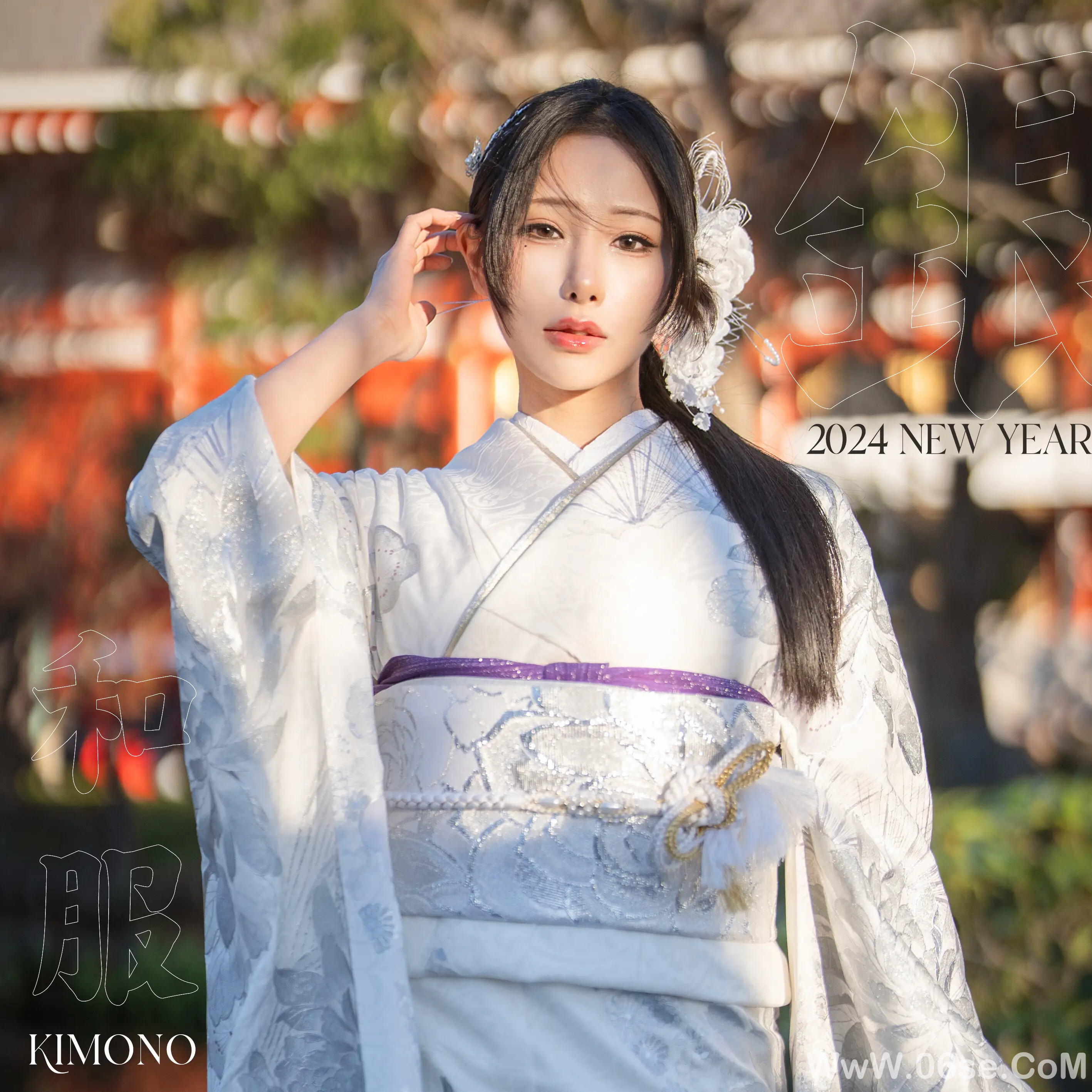 雨波-Original 2024 New year Silver Kimono-六色网