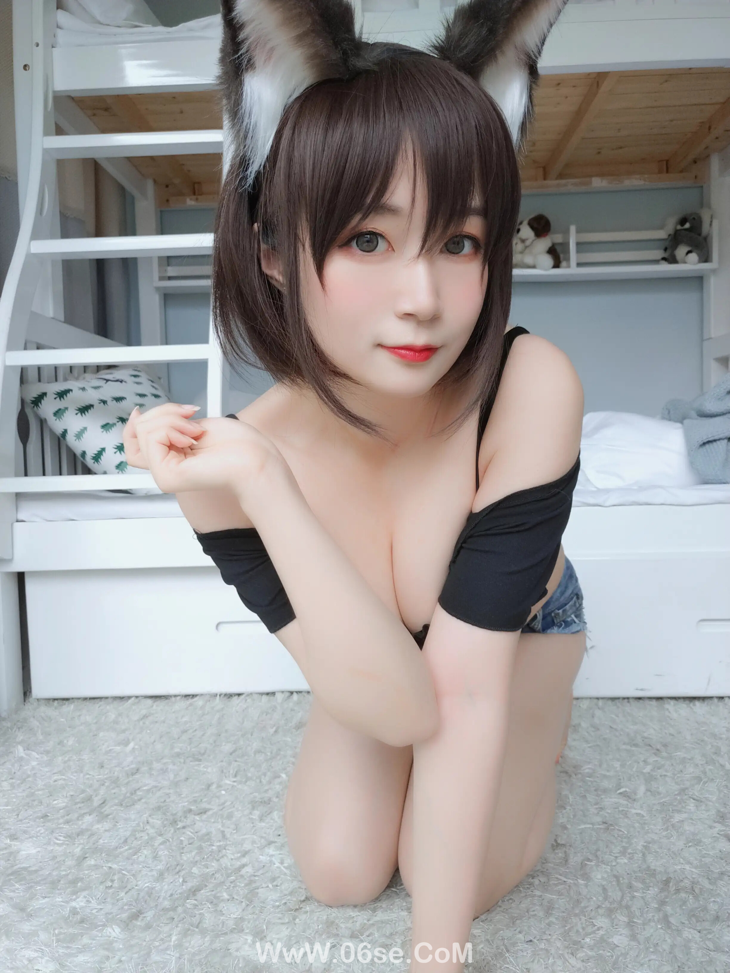图片[18]-白银81 – 布偶猫-六色网