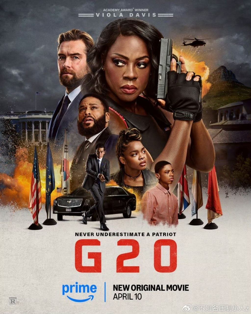 G20峰会 G20 (2025) 维奥拉·戴维斯 / 安东尼·斯塔尔  1080p中英字幕 【电影】