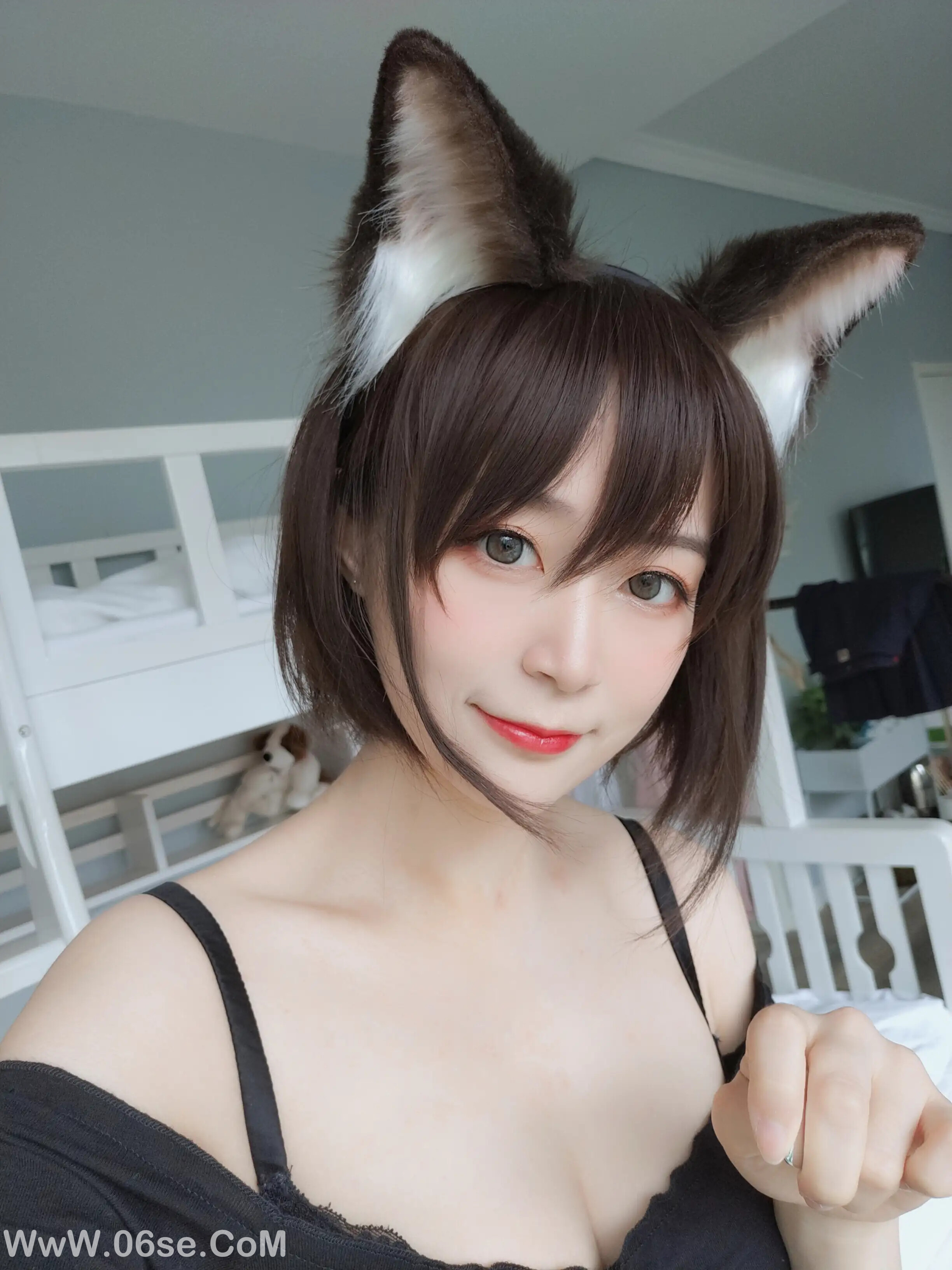 图片[5]-白银81 – 布偶猫-六色网