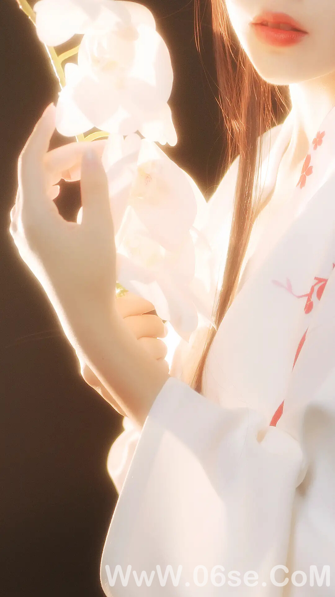 图片[12]-不呆猫 – 和服-六色网