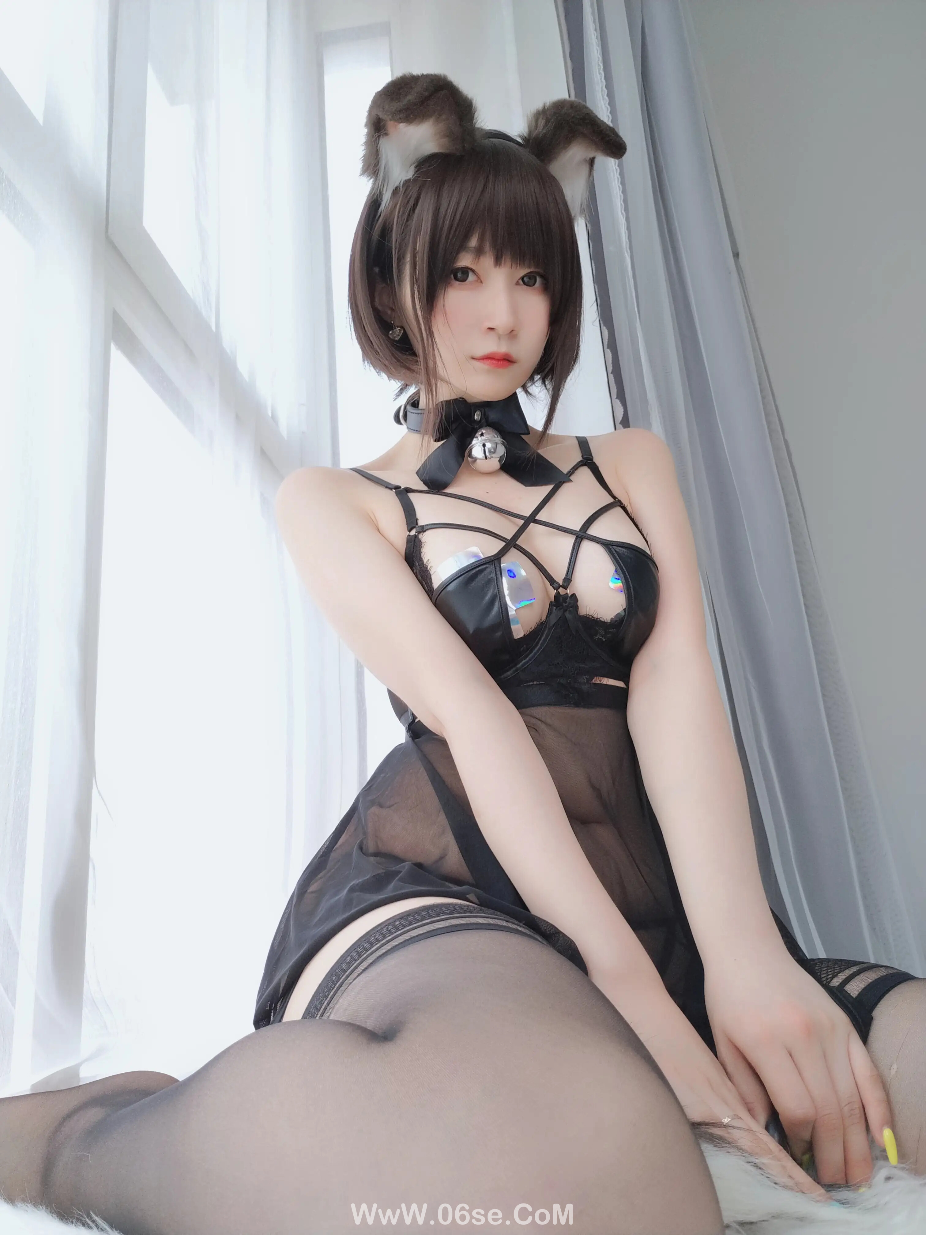 图片[90]-白银81 – 折耳狗-六色网